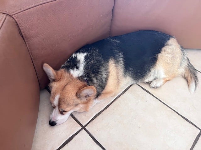 Publication : Des Terres D’Ohlain Auteur : MOI MEME