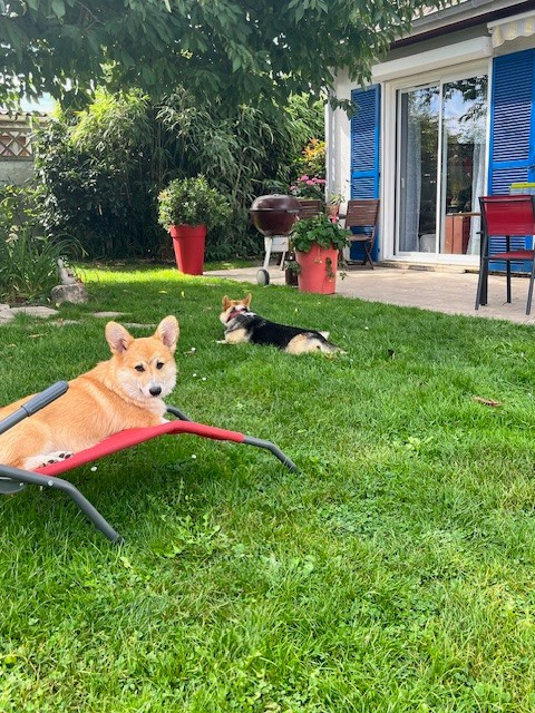 Publication : Des Terres D’Ohlain Auteur : MOI MEME