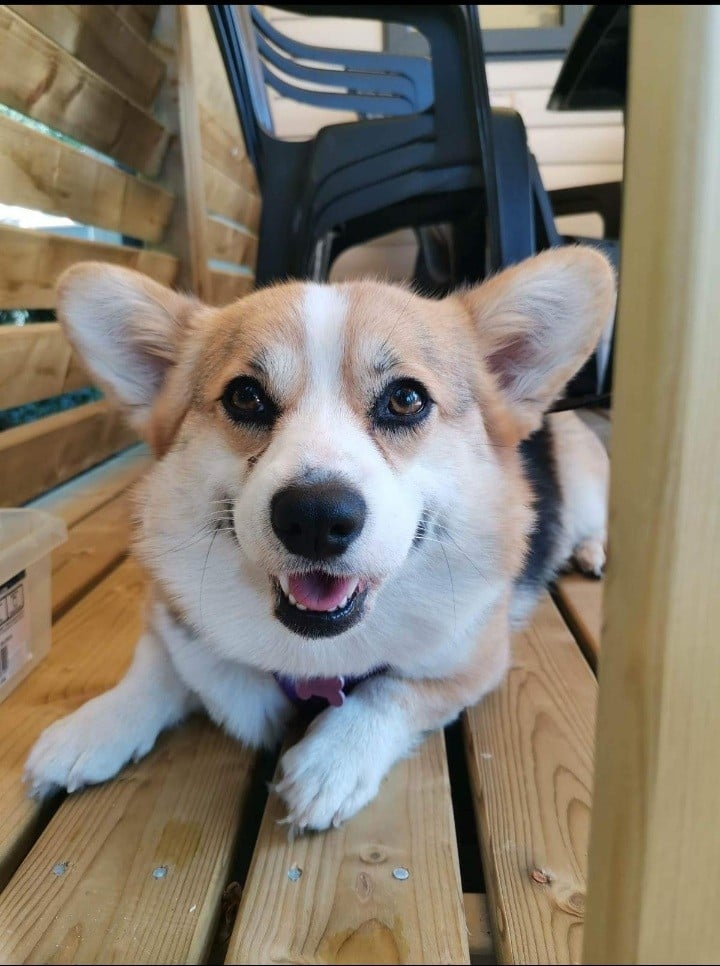 Publication : Des Terres D’Ohlain Auteur : MOI MEME