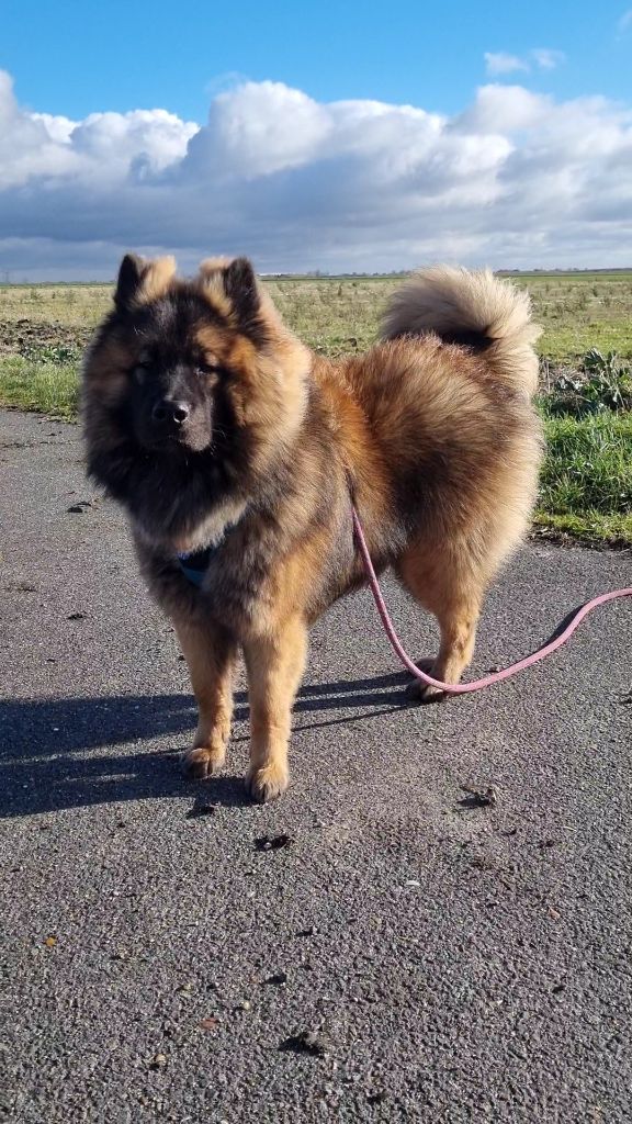 Publication : Sybil BORREDON