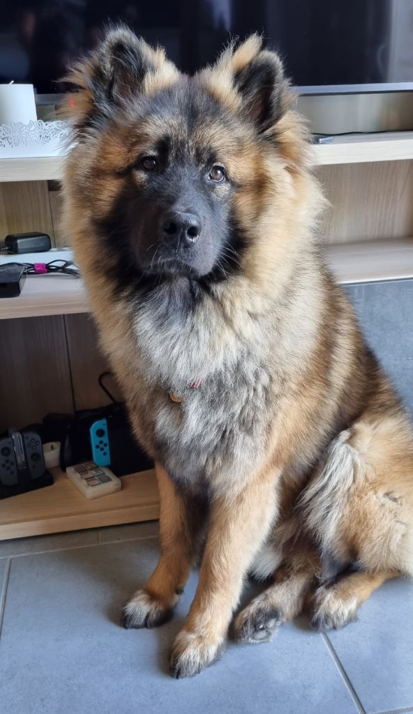 Publication : Sybil BORREDON