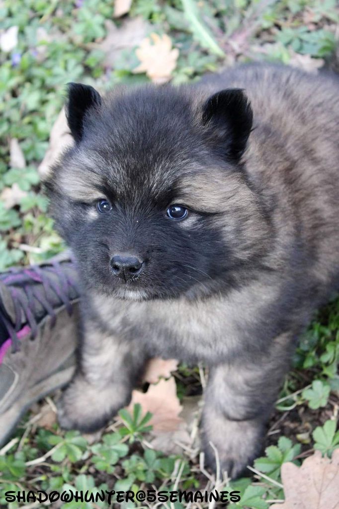 Publication : Sybil BORREDON