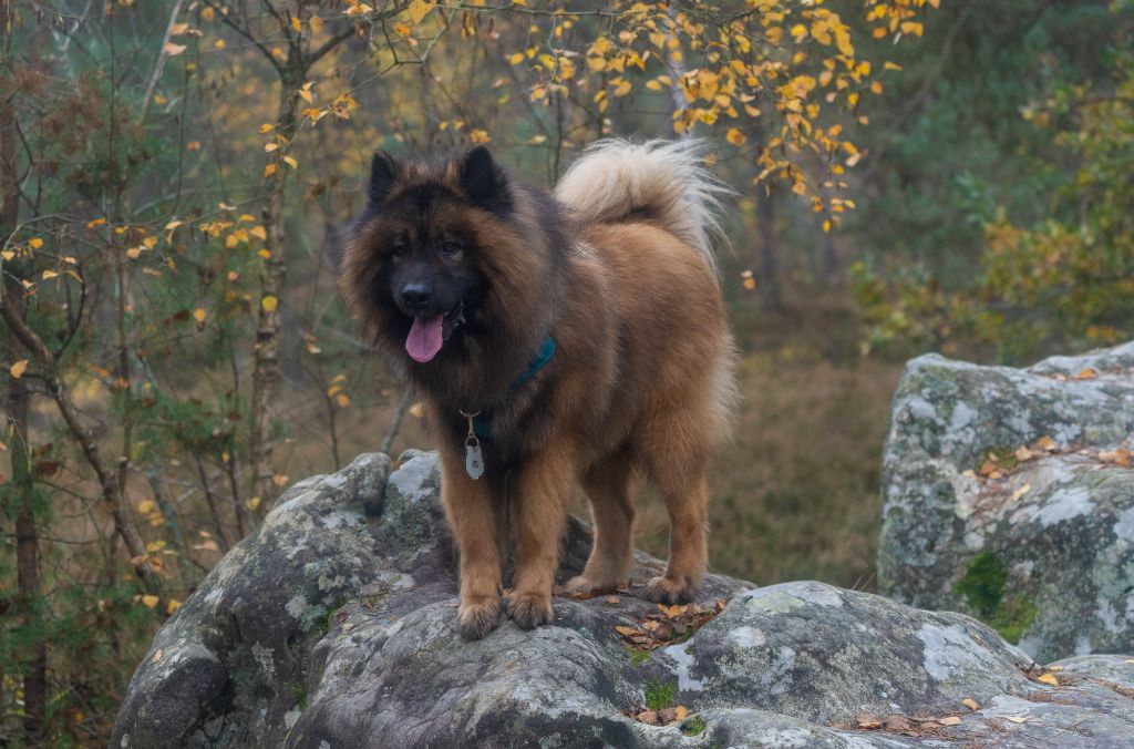 Publication : Sybil BORREDON