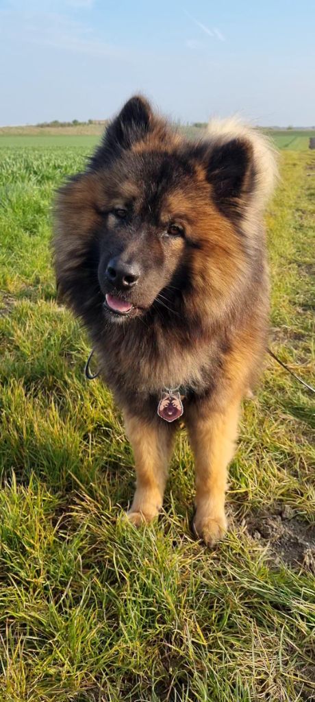 Publication : Sybil BORREDON