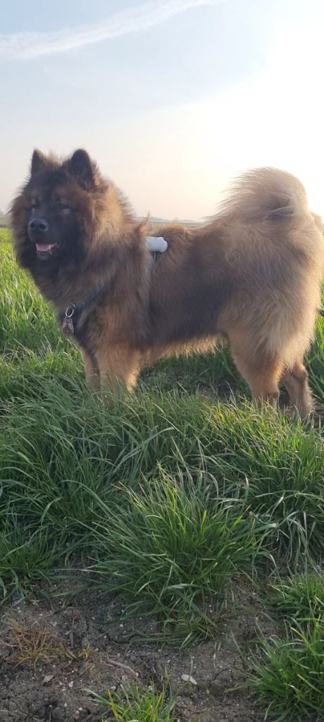 Publication : Sybil BORREDON