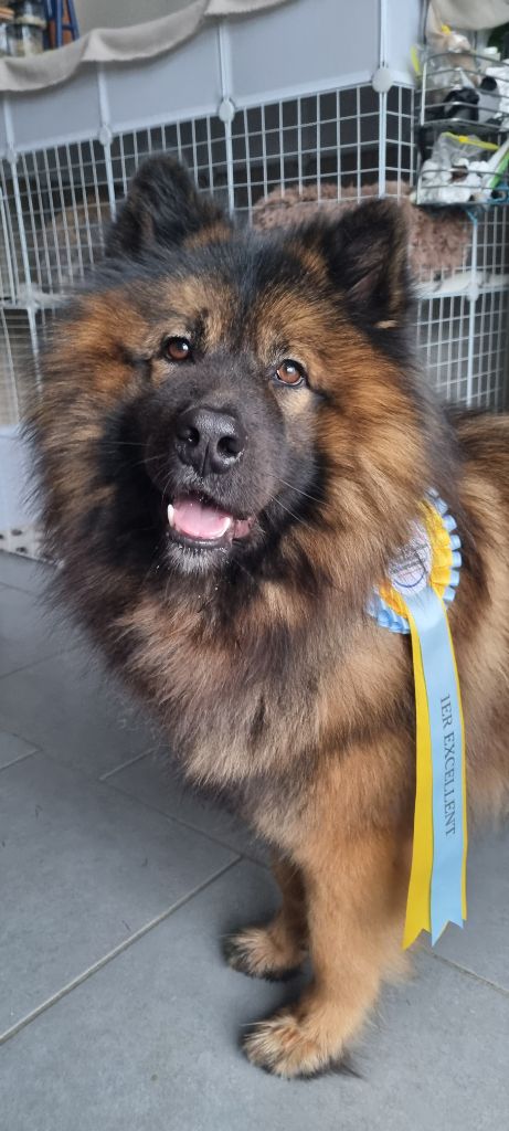 Publication : Sybil BORREDON