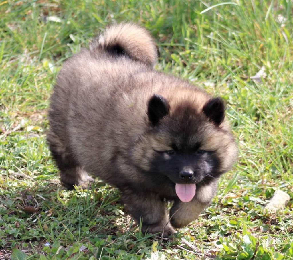 Publication : Sybil BORREDON