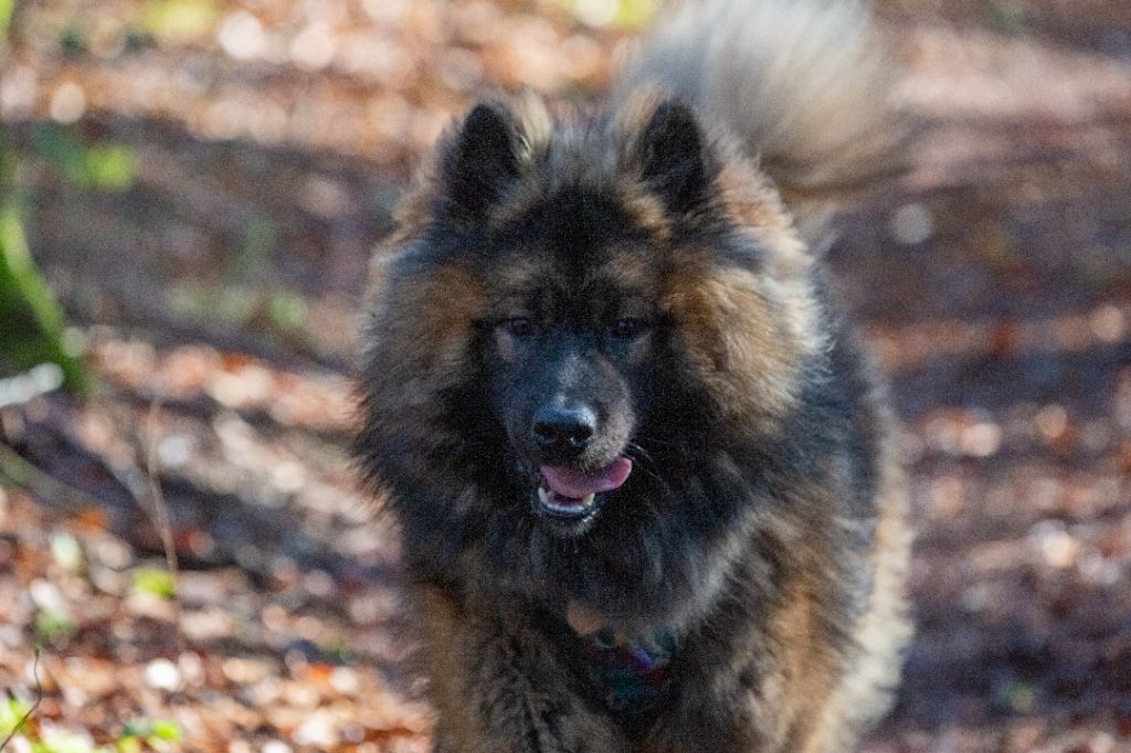 Publication : Sybil BORREDON