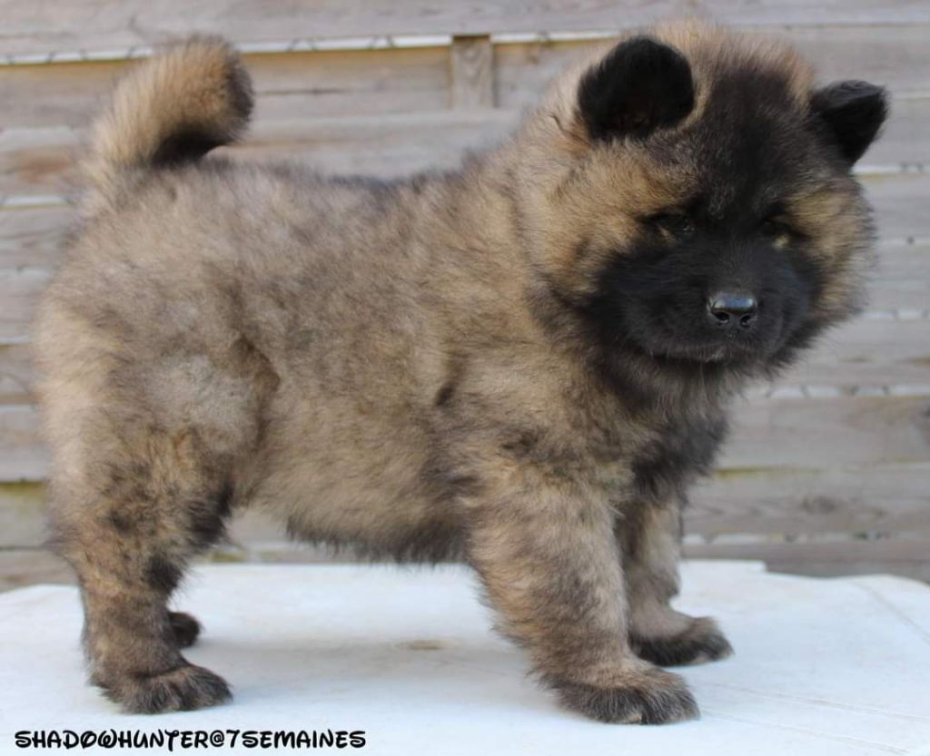 Publication : Sybil BORREDON