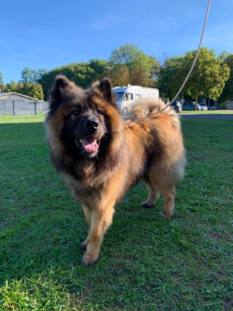 Publication : Sybil BORREDON