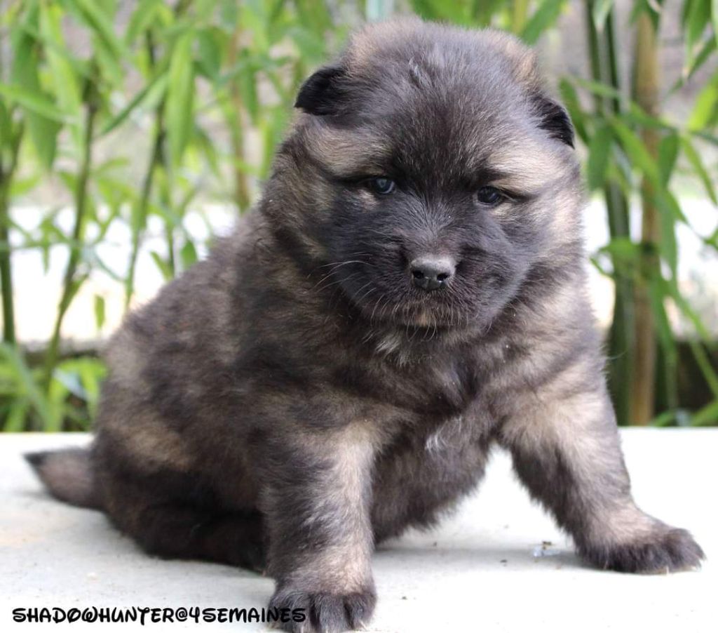 Publication : Sybil BORREDON