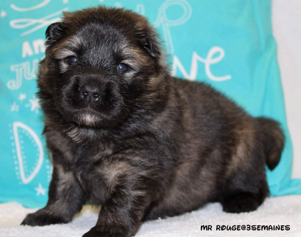 Publication : Sybil BORREDON