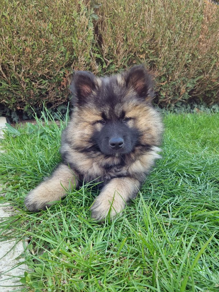 Publication : Sybil BORREDON