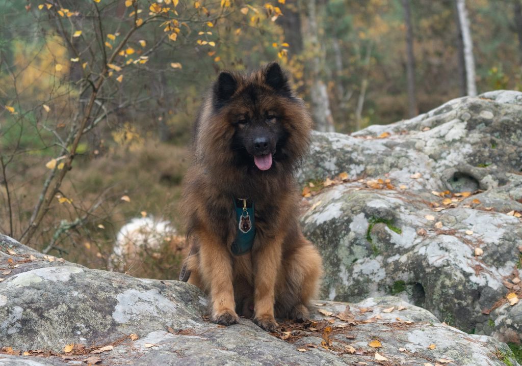 Publication : Sybil BORREDON