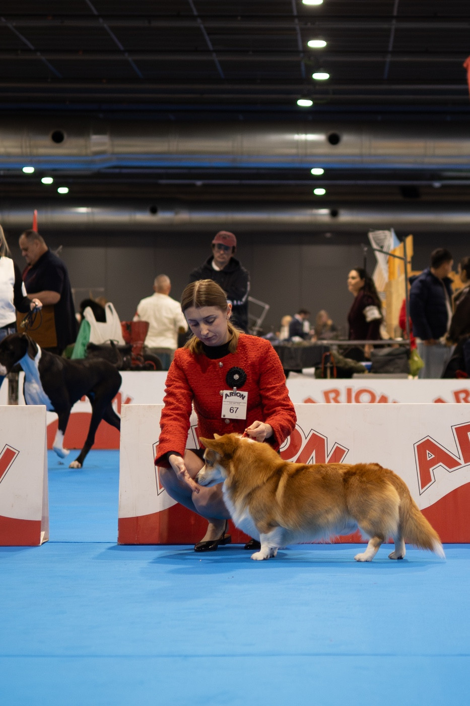 Fenrir ferarry stile - Excellent 2ème RCACIB - Classe ouverte