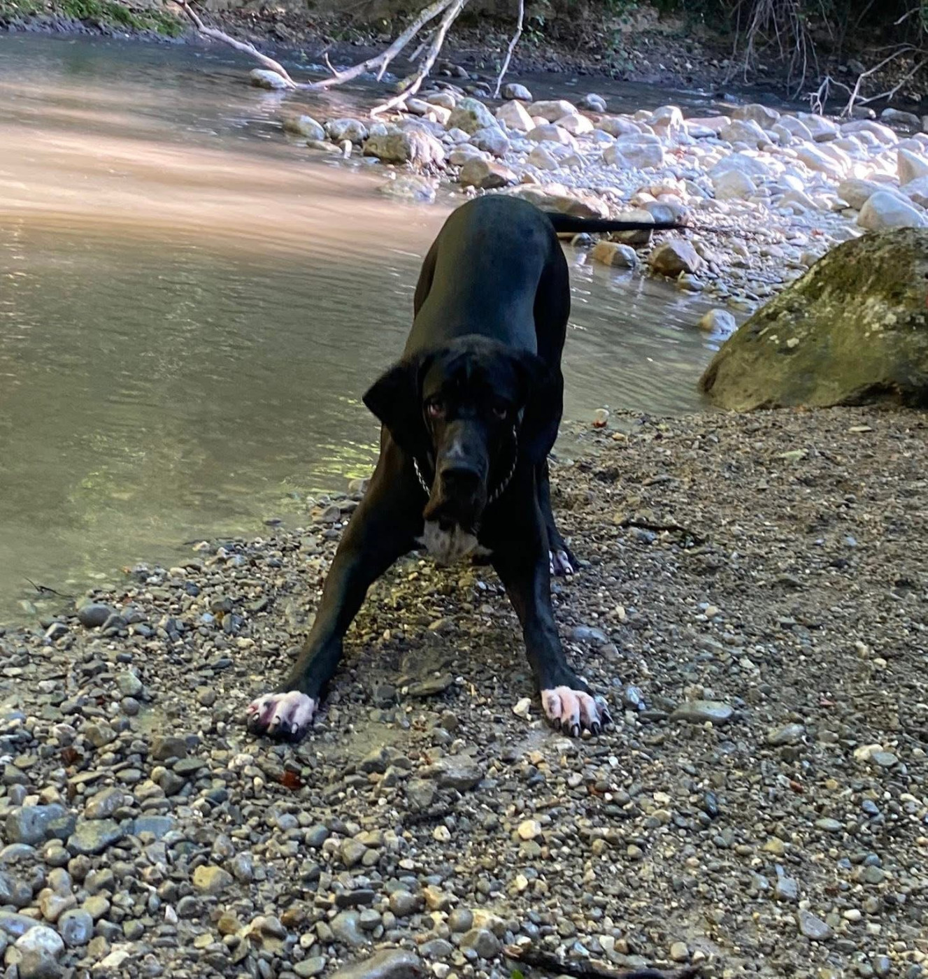 vaïna Du Royaume D'Apollon