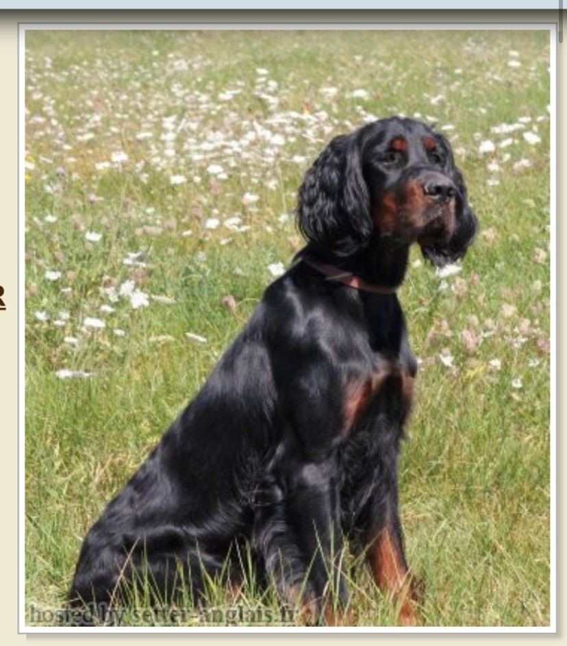 Roscoff Des Hauts De Taulisse