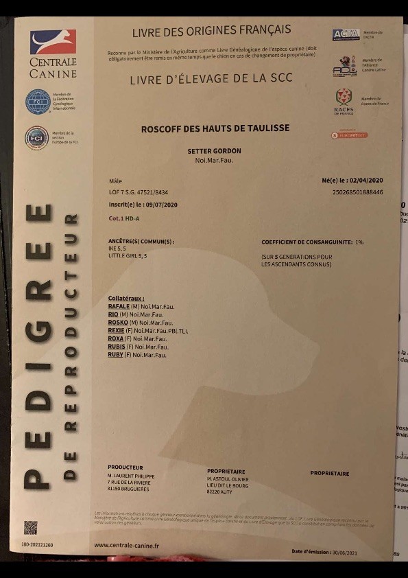 Roscoff Des Hauts De Taulisse