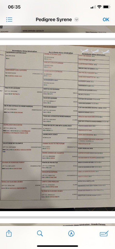 Syrene Du Haut Kervrahu