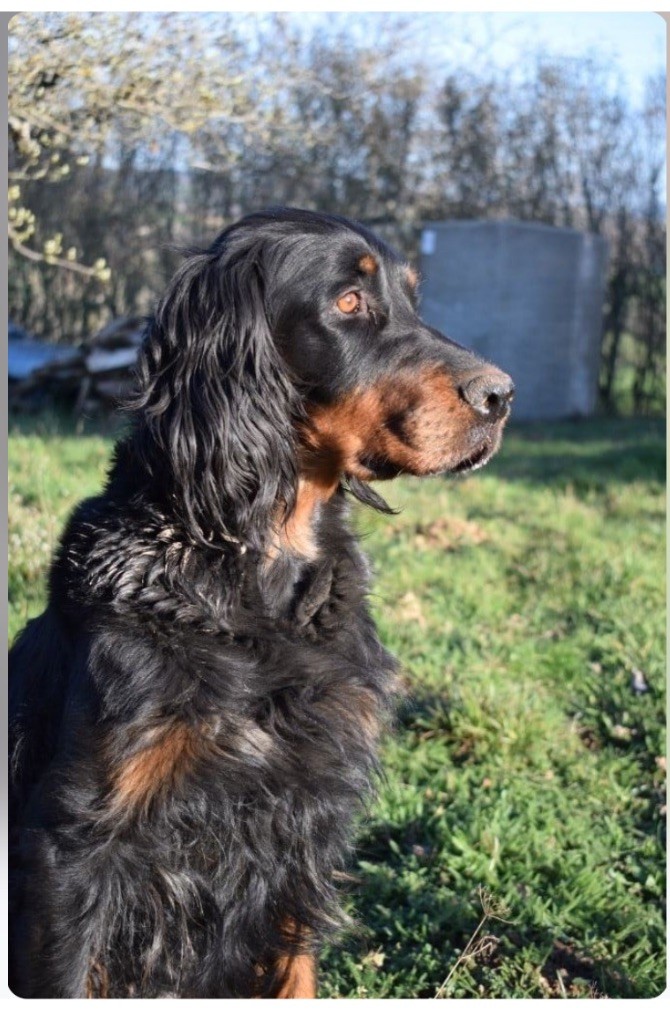 Roscoff Des Hauts De Taulisse