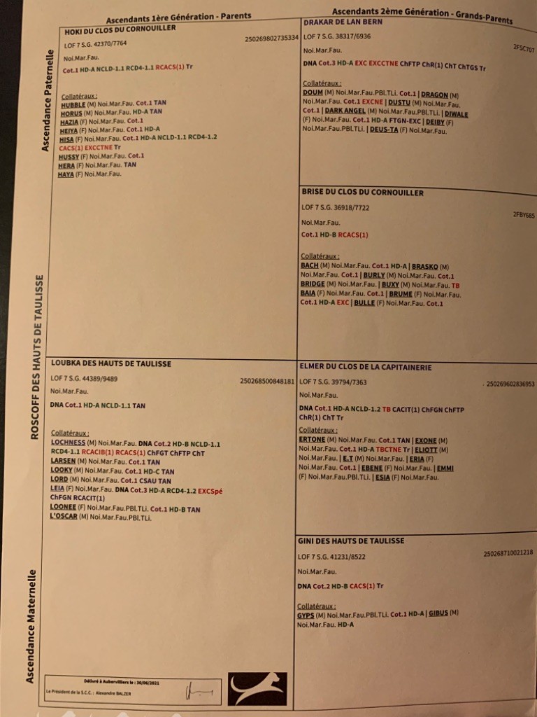 Roscoff Des Hauts De Taulisse