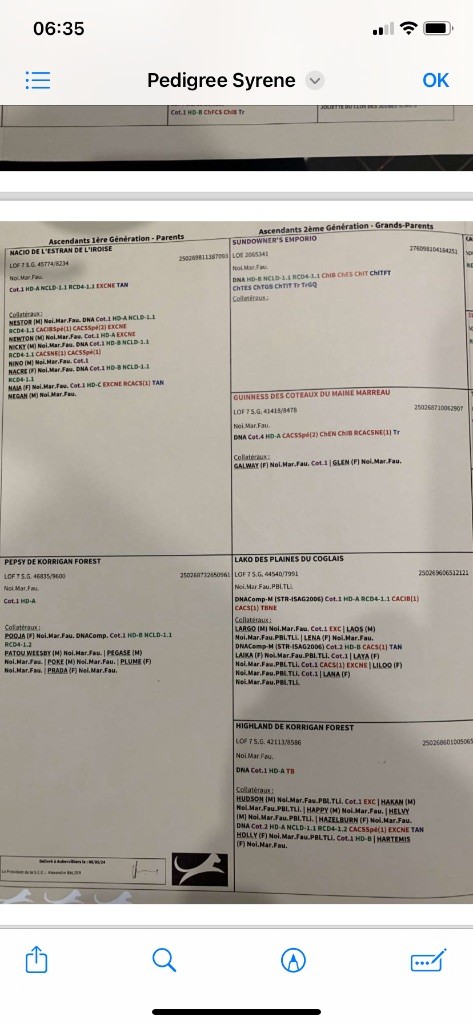 Syrene Du Haut Kervrahu