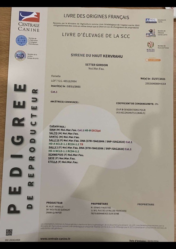 Syrene Du Haut Kervrahu