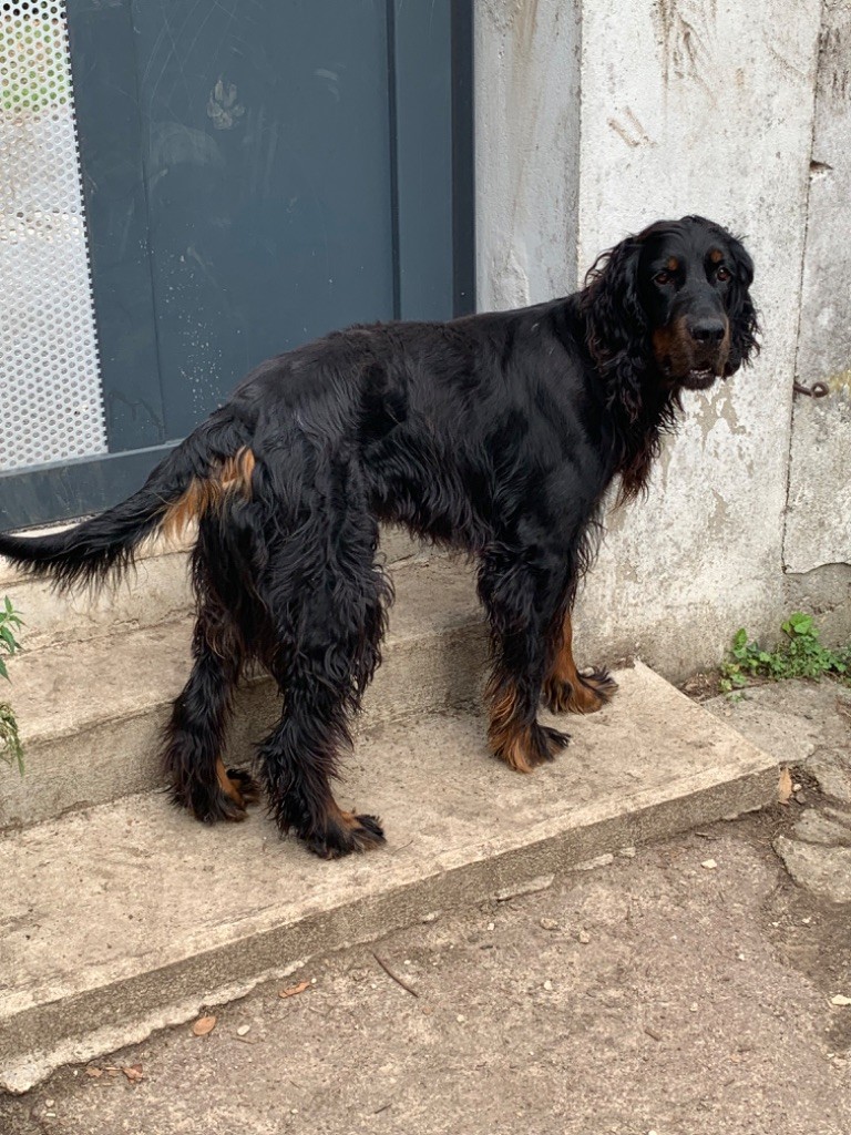 Roscoff Des Hauts De Taulisse