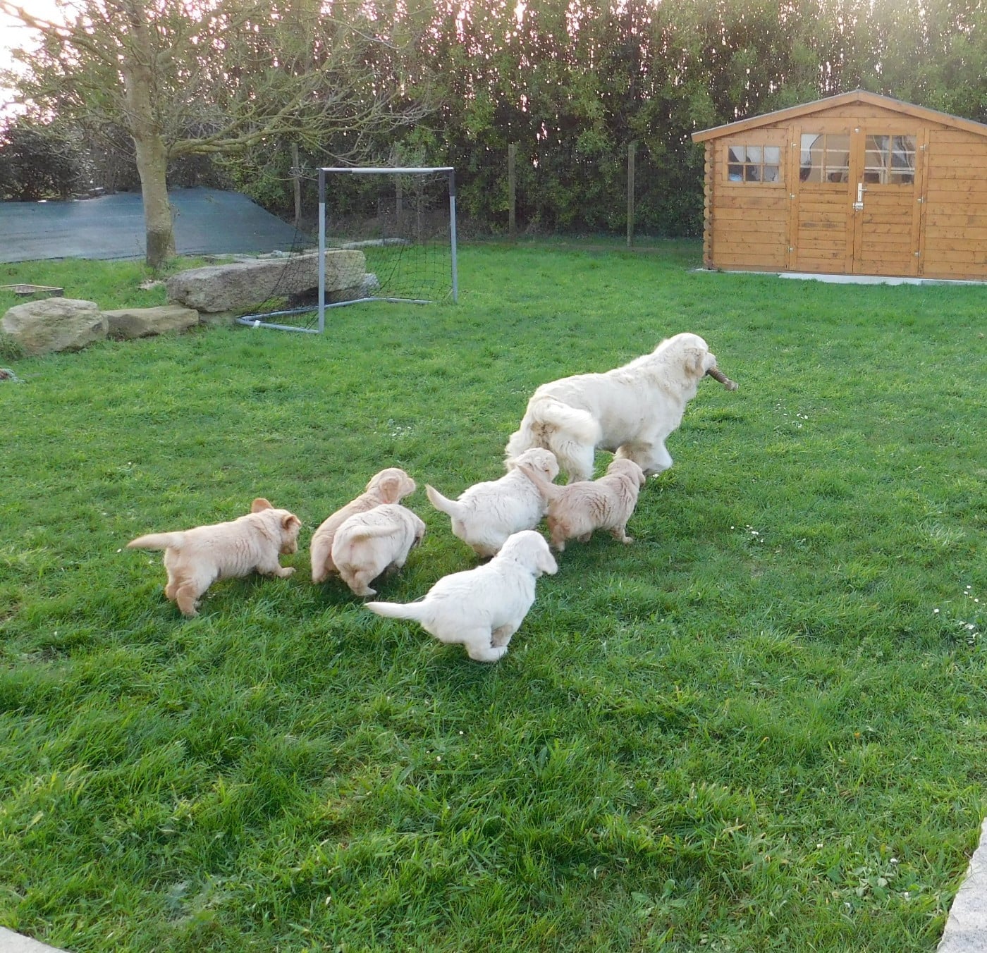 Publication : De Rod Avel