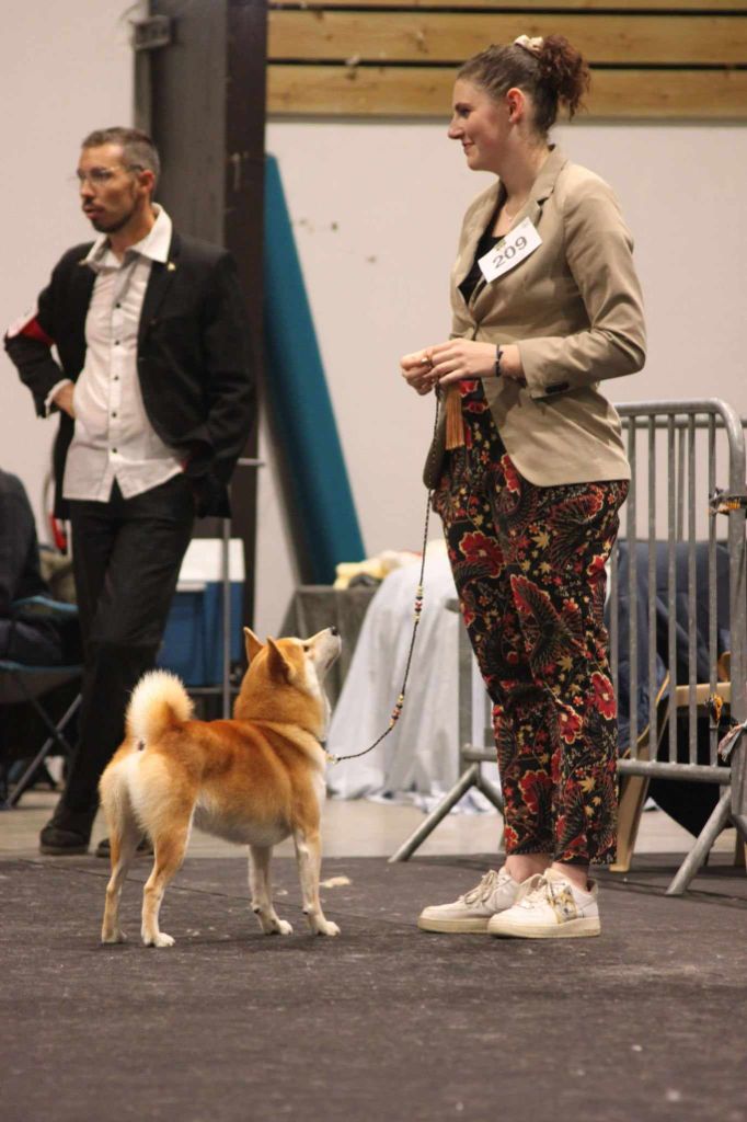 CH. Waku Incipita Vita - EXC NC