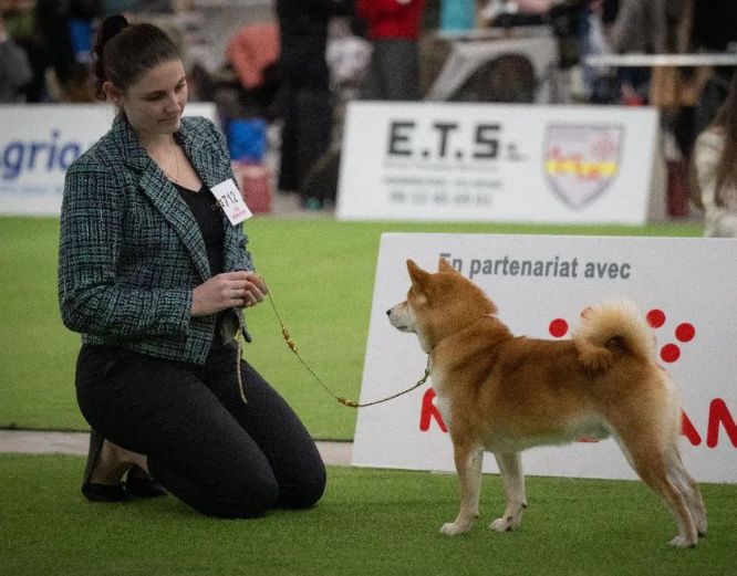 CH. Waku Incipita Vita - TB NC