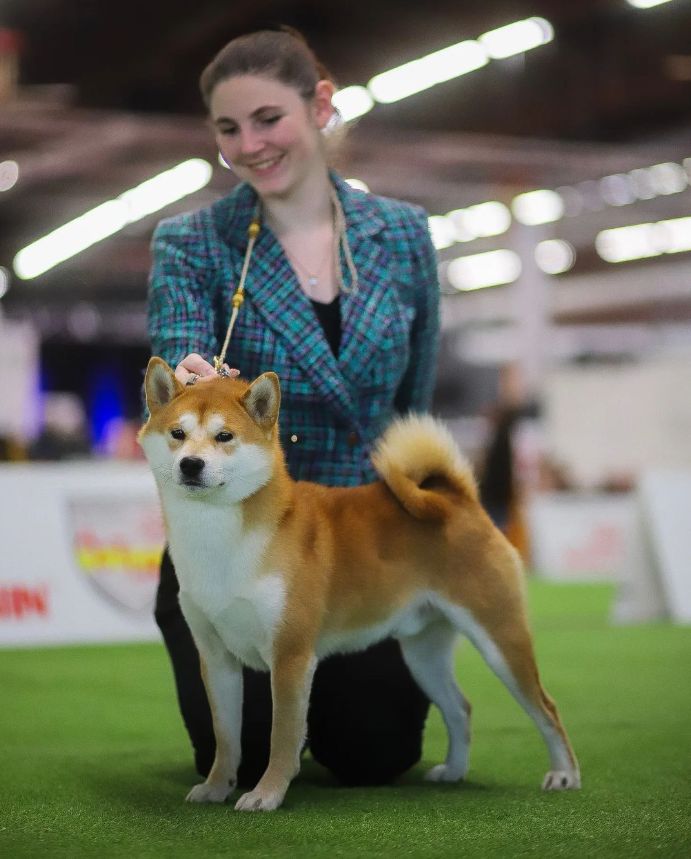 CH. Waku Incipita Vita - 2eme TB