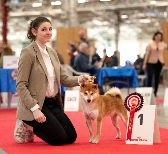 CH. Waku Incipita Vita - 1er EXC