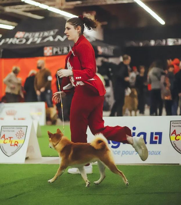 CH. Waku Incipita Vita - 3eme EXC