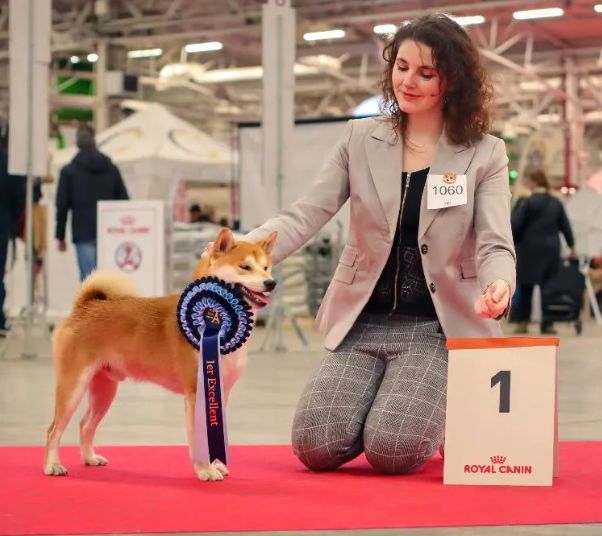 CH. Waku Incipita Vita - 1er EXC