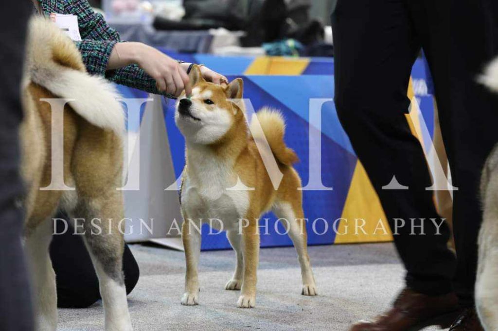 CH. Waku Incipita Vita - 2eme EXC RCAC