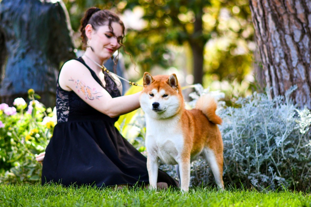 CH. Waku Incipita Vita - 1er EXC - RCACIB