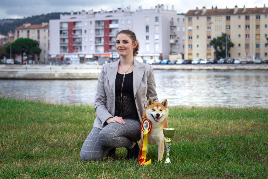 CH. Waku Incipita Vita - 1er EXC BOBJ BOB RBOGJ