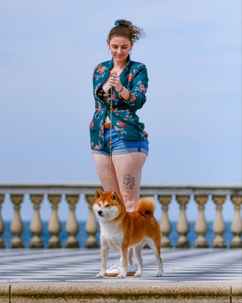 CH. Waku Incipita Vita - 1er EXC CACIB BOS