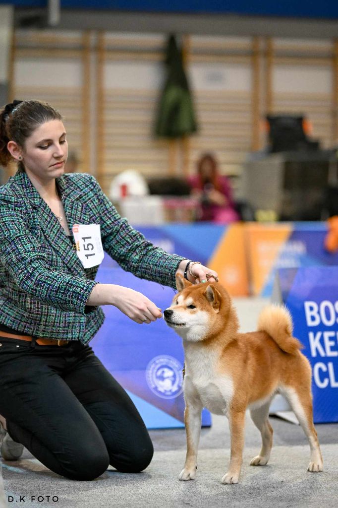 CH. Waku Incipita Vita - 2eme RCAC RCACIB