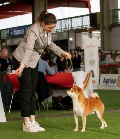 CH. Waku Incipita Vita - 1er EXC CACS