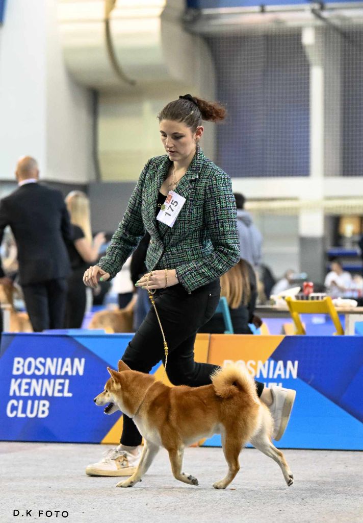 CH. Waku Incipita Vita - 2eme EXC RCAC