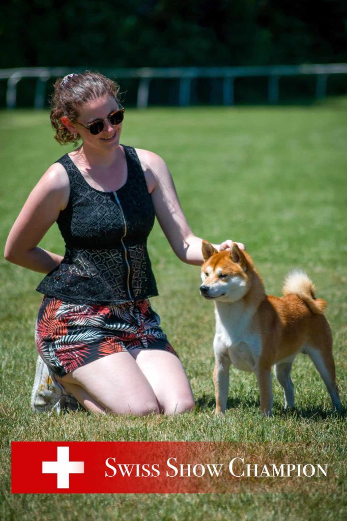 CH. Waku Incipita Vita - 1er EXC CAC RCACIB