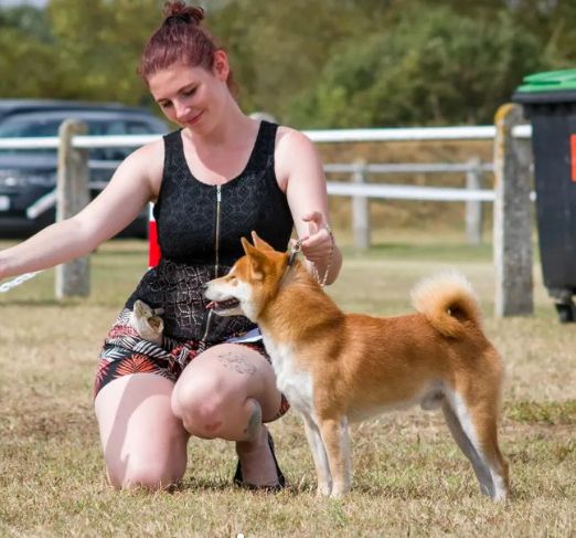 CH. Waku Incipita Vita - 1er EXC CACIB Best Champion BOS