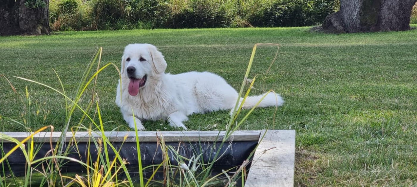 Utopia des Arcanes D'Hermes