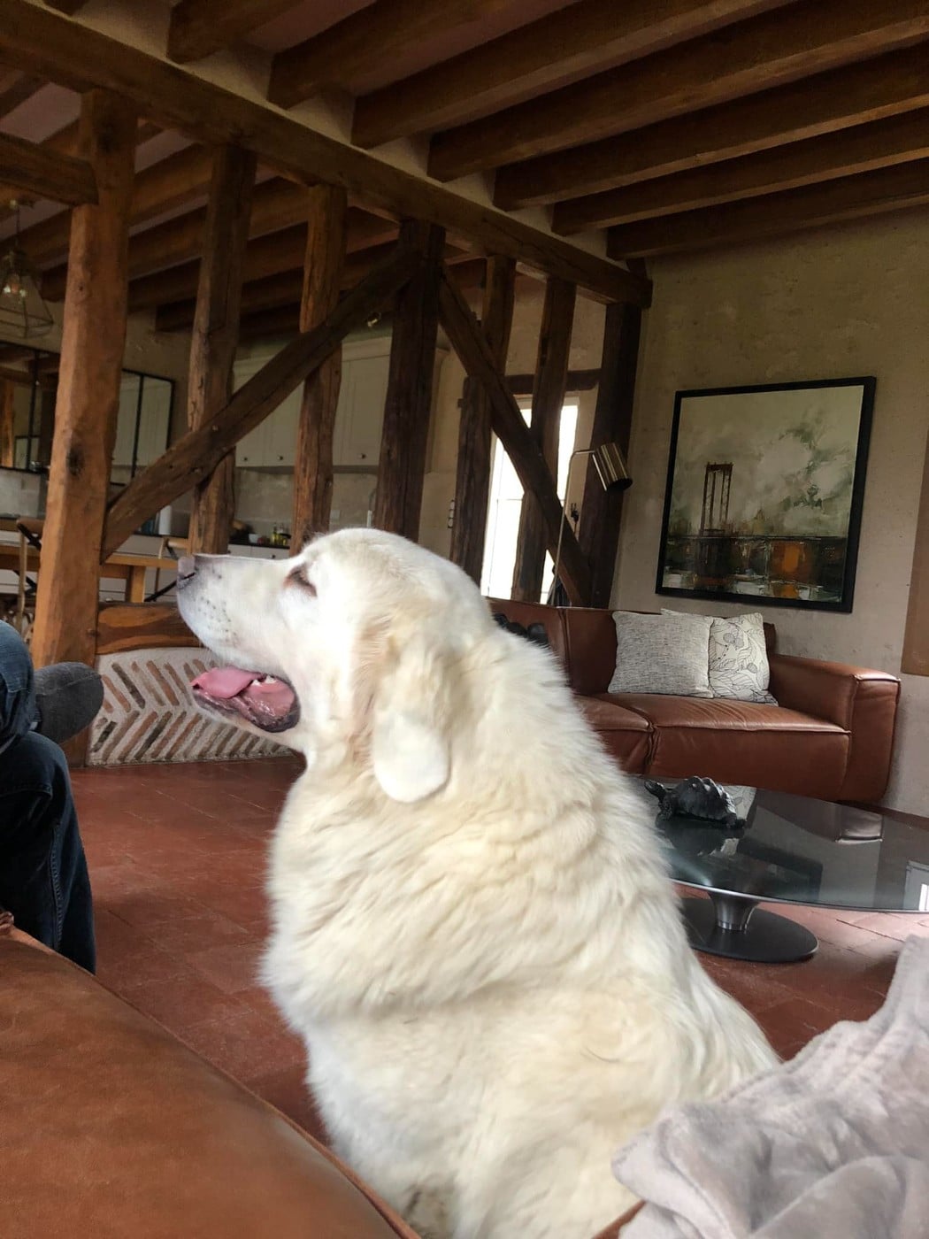 Utopia des Arcanes D'Hermes