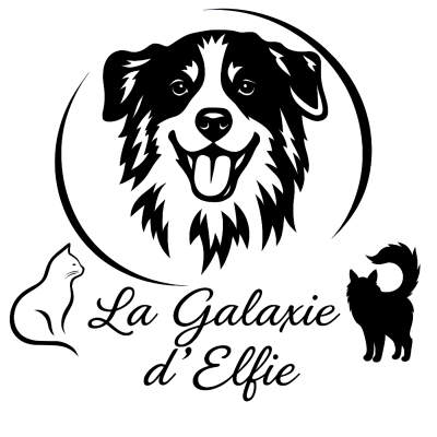 De La Galaxie D'Elfie