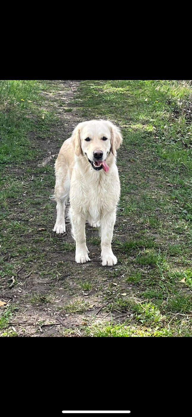 Requiem d'un soir d'été De La Cité Des Ribeaupierre