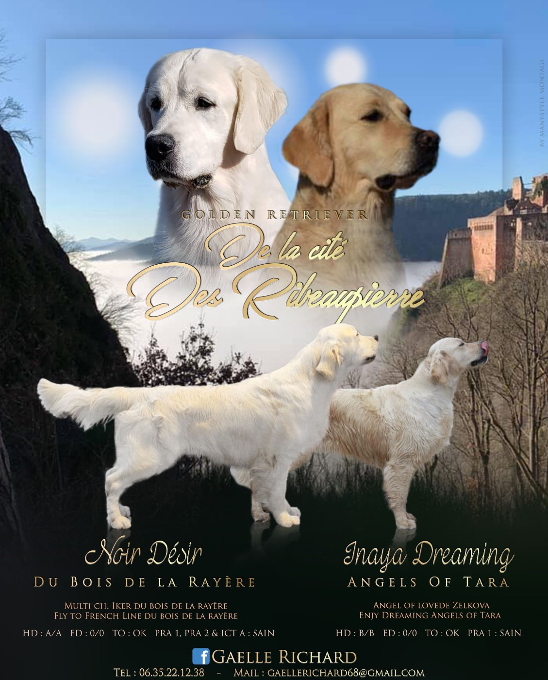 Requiem d'un soir d'été De La Cité Des Ribeaupierre