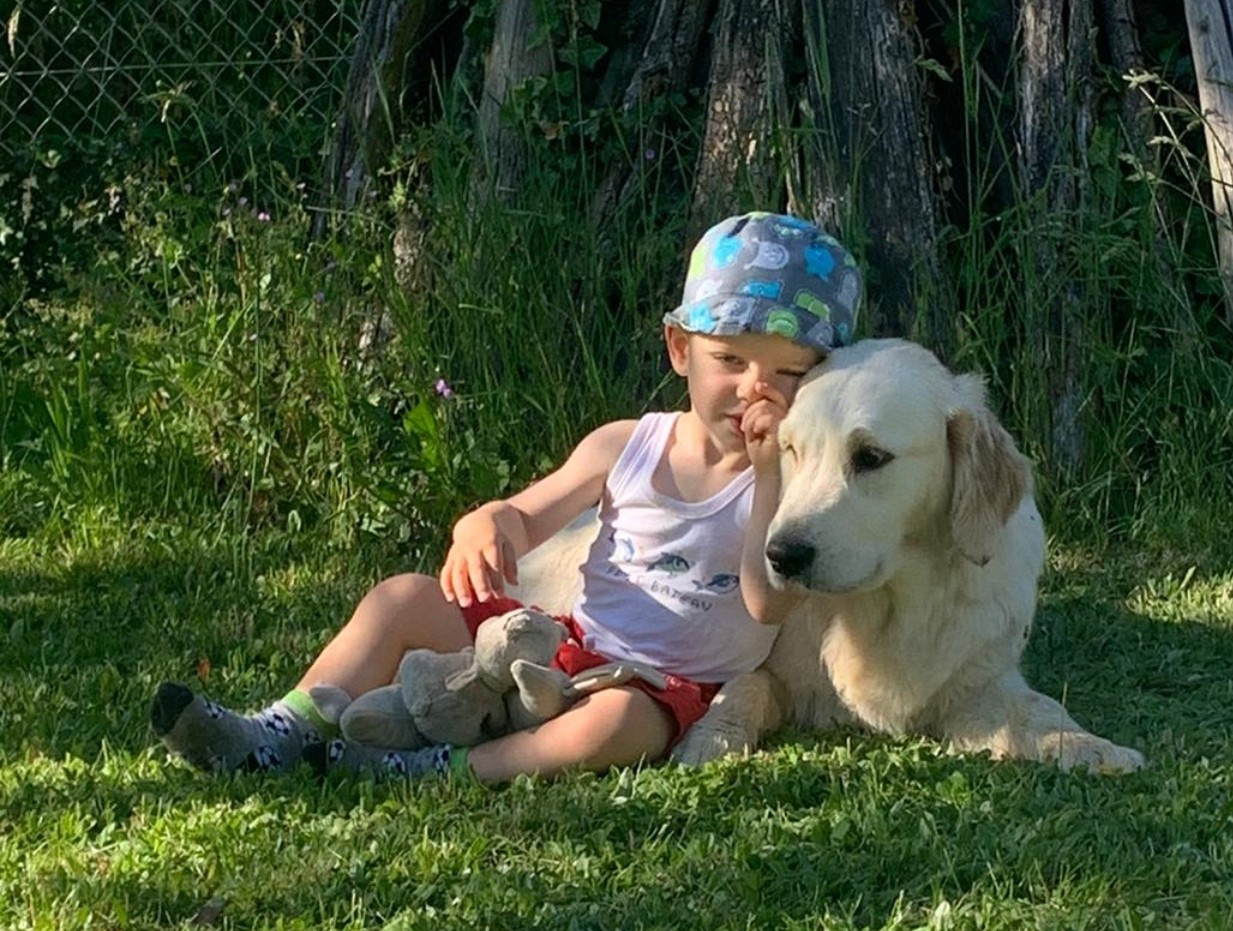 CH. terra di siena Flowers Never Bend With The Rain Fall